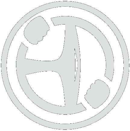 Budget Driving School Logo